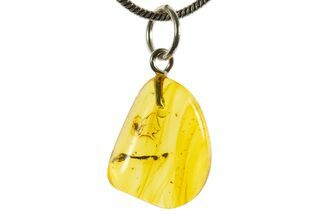 Polished Baltic Amber Pendant (Necklace) - Contains Fly! #339568