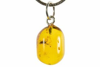 Polished Baltic Amber Pendant (Necklace) - Contains Fly! #339571