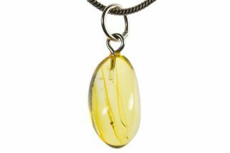 Polished Baltic Amber Pendant (Necklace) - Contains Fly! #339575