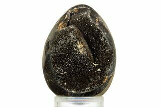 Septarian Dragon Egg Geode - Sparkly Black Crystals #344442