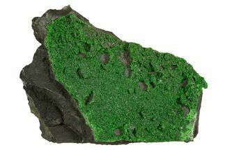 Forest Green Uvarovite Garnets - Russia #344502