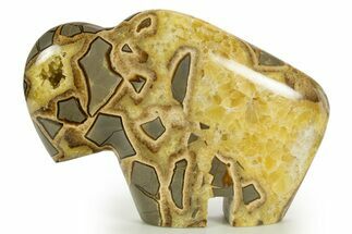 Calcite-Filled Polished Septarian Bison - Utah #344829