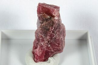 Striking Cherry-Red Rhodonite Specimen - Brazil #344949