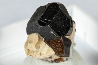 Lustrous Chocolate Fluor-Buergerite Crystals - Mexico #345038