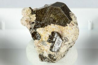 Lustrous Chocolate Fluor-Buergerite Crystals - Mexico #345044