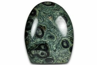 Kambaba Jasper For Sale
