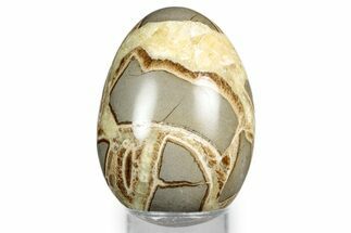 Calcite Crystal Filled Septarian Egg - Utah #344840