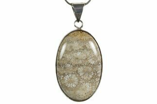 Polished Indonesian Fossil Coral Pendant (Necklace) #345274