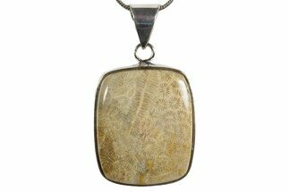 Polished Indonesian Fossil Coral Pendant (Necklace) #345277