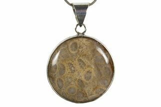 Polished Indonesian Fossil Coral Pendant (Necklace) #345278