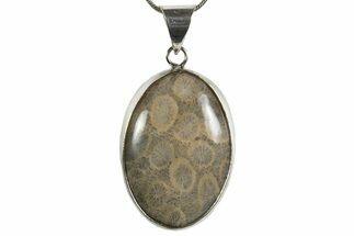 Polished Indonesian Fossil Coral Pendant (Necklace) #345283