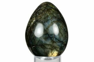 Flashy, Polished Labradorite Egg - Madagascar #344318