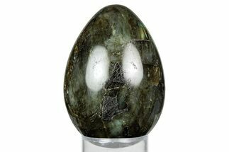 Flashy, Polished Labradorite Egg - Madagascar #344319