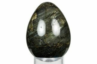 Flashy, Polished Labradorite Egg - Madagascar #344322