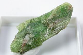 Unusual Green Kyanite Crystal - Tanzania #345727