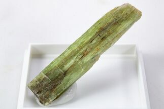 Unusual Green Kyanite Crystal - Tanzania #345728