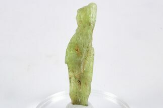 Unusual Green Kyanite Crystal - Tanzania #345729