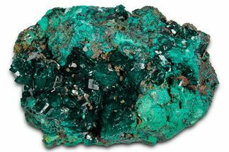Glistening Dioptase Crystal Cluster - N'tola Mine, Congo #346106