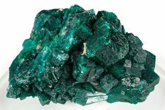 Gemmy Dioptase Crystal Cluster - Congo #346122