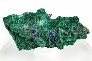 Fibrous Green Malachite with Blue Azurite - Congo #346127