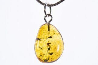 Polished Baltic Amber Pendant (Necklace) - Contains Fly & Debris! #339577