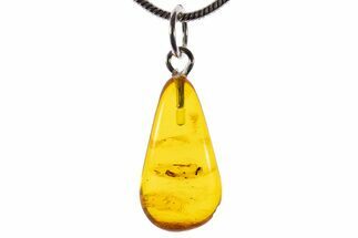 Polished Baltic Amber Pendant (Necklace) - Contains Fly! #339611