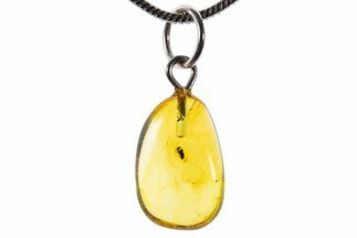 Polished Baltic Amber Pendant (Necklace) - Contains Wasp! #339617