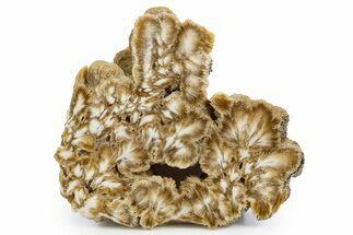 Polished Barite With Pyrite Slab - Lubin Mine, Poland #346200