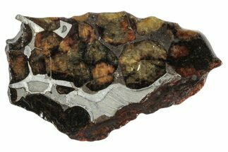 Sericho Pallasite Meteorite ( g) Slice - Kenya #346433