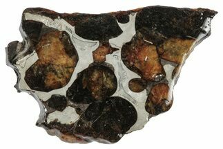 Sericho Pallasite Meteorite ( g) Slice - Kenya #346436