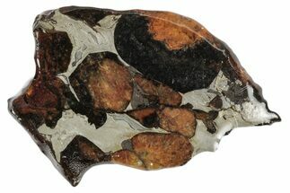 Sericho Pallasite Meteorite ( g) Slice - Kenya #346441