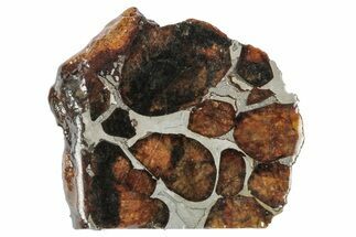 Sericho Pallasite Meteorite ( g) Slice - Kenya #346448