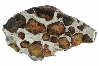 Sericho Pallasite Meteorite ( g) Slice - Kenya #346454