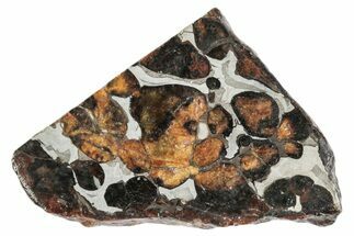 Sericho Pallasite Meteorite ( g) Slice - Kenya #346460