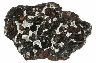 Sericho Pallasite Meteorite ( g) Slice - Kenya #346466