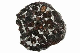 Sericho Pallasite Meteorite ( g) Slice - Kenya #346470