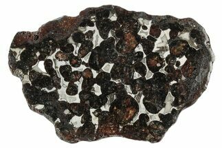 Sericho Pallasite Meteorite ( g) Slice - Kenya #346472