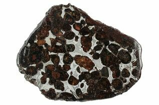Pallasites For Sale