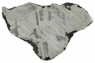 Etched Toluca Iron Meteorite ( g) Slice - Mexico #346486