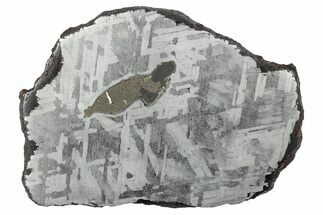 Etched Toluca Iron Meteorite ( g) Slice - Mexico #346507