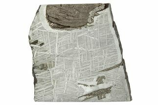 Etched Saint-Aubin Iron Meteorite Slice ( g) - France #346518