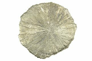 Radiant Pyrite Sun - Sparta, Illinois #342582