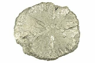 Radiant Pyrite Sun - Sparta, Illinois #342586