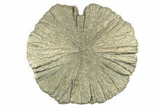 Radiant Pyrite Sun - Sparta, Illinois #342593
