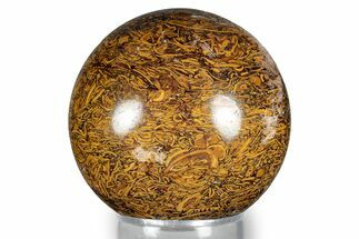 Polished Miriam Jasper Sphere - India #343028