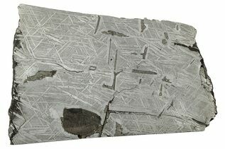 Saint-Aubin Meteorites For Sale