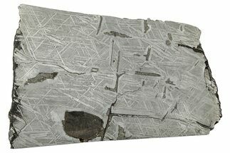 Etched Saint-Aubin Iron Meteorite Slice ( g) - France #346547