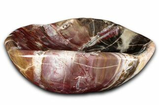Colorful Polished Petrified Wood Bowl - Madagascar #346828