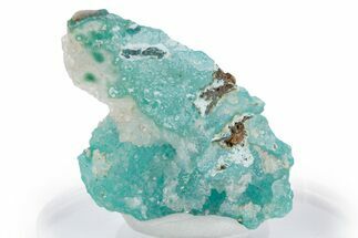 Sparkling Druzy Quartz on Chrysocolla - DR Congo #347495