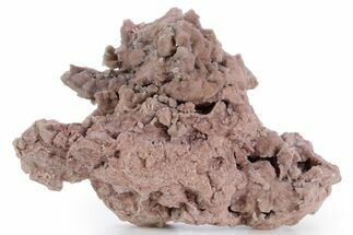 Youngite Agate/Jasper Specimen - Wyoming #347586